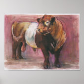 ゼウスレッドベルテッドガロウェイブル2006 ポスター (正面)