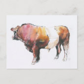 ゼウス ポストカード (正面)