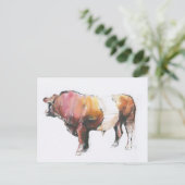 ゼウス ポストカード (スタンド正面)