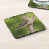 ゼナイダ・マクロラ・ハト コースター (左側)