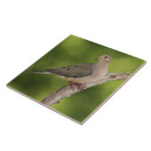 ゼナイダ・マクロラ・ハト タイル (側面)