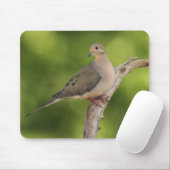 ゼナイダ・マクロラ・ハト マウスパッド (マウス)