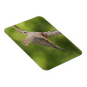 ゼナイダ・マクロラ・ハト マグネット (右側)