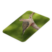 ゼナイダ・マクロラ・ハト マグネット (左側)