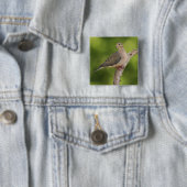 ゼナイダ・マクロラ・ハト 缶バッジ (インサイチュ)