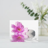 ゼニチュードのポストカード ポストカード (スタンド正面)