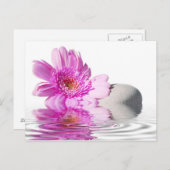 ゼニチュードのポストカード ポストカード (正面/裏面)