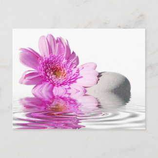 ゼニチュードのポストカード ポストカード