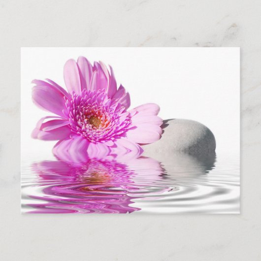 ゼニチュードのポストカード ポストカード (正面)