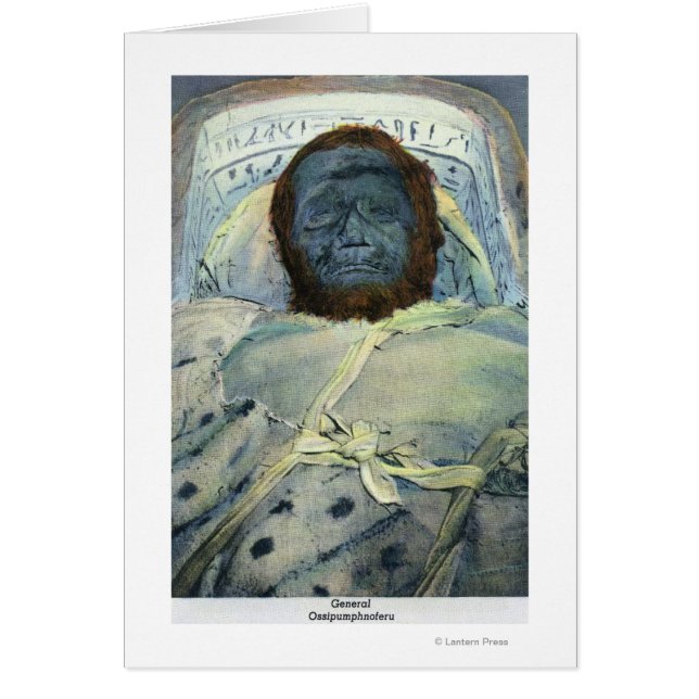 ゼネラルオシパンプノフェルムミーの見解 (正面)