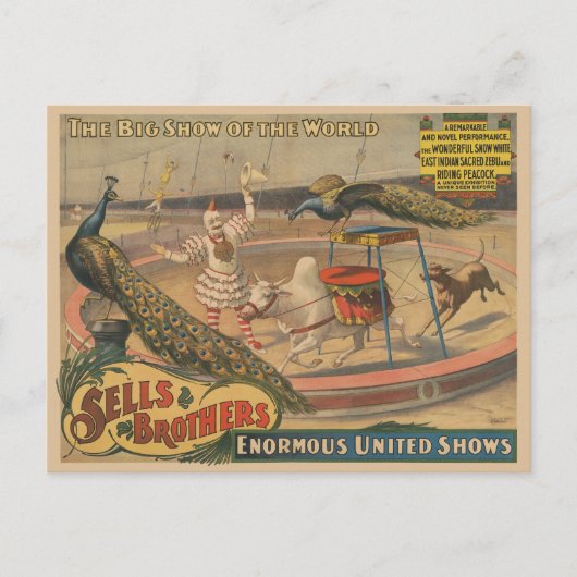 ゼブとピーコックのピエロ訓練士 ポストカード (正面)