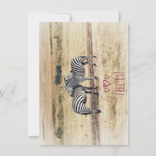 ゼブラの愛情、平凡なホリデーカード シーズンカード (正面)