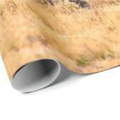 ゼブラの群れ ラッピングペーパー (ロールコーナー)