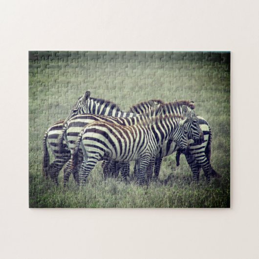 ゼブラの輝き ジグソーパズル (横)