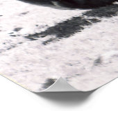 ゼブラの頭 – 白黒 ポスター (角)