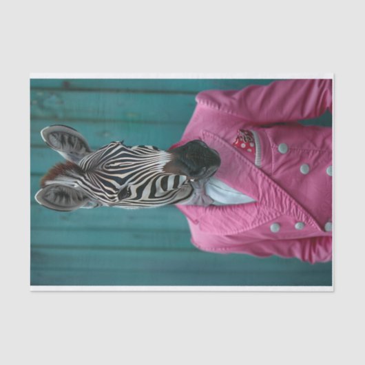 ゼブラを見る 薄葉紙 (正面)