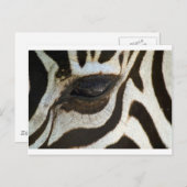 ゼブラアイのかわいい落ち着いたイメージ ポストカード (正面/裏面)