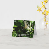 ゼブラアゲハチョウオンハニーサックル カード (黄色い花)