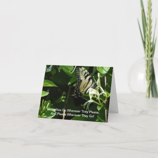 ゼブラアゲハチョウオンハニーサックル カード (正面)