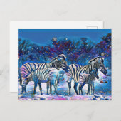 ゼブラアフリカナミビア自然 ポストカード (正面/裏面)