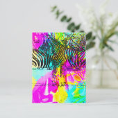 ゼブラカラフルス ポストカード (スタンド正面)