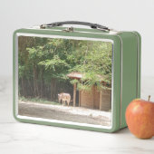 ゼブラカラフル&フローラ、メタルランチボックス メタルランチボックス (インサイチュ)