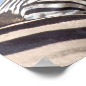 ゼブラキャンバス印刷 ポスター (角)