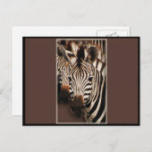 ゼブラグリーティングカード – はがき (正面/裏面)