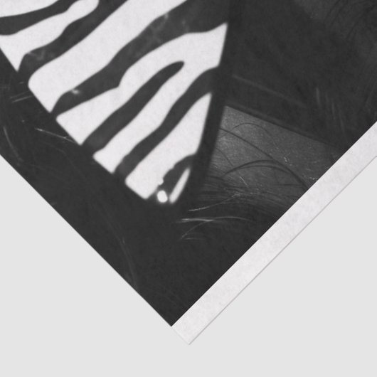 ゼブラストライプヴィンテージグラム白黒デクページ 薄葉紙 (詳細)
