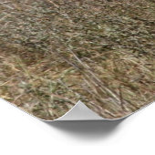 ゼブラストライプ ポスター (角)