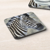 ゼブラス愛好家アート コースター (左側)