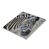 ゼブラス愛好家アート タイル (側面)