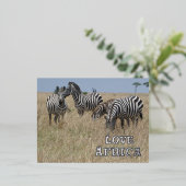 ゼブラズインザワイルドフォイルホリデーポストカード 箔シーズンポストカード (立ち正面)