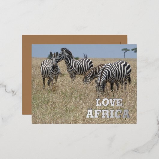 ゼブラズインザワイルドフォイルホリデーポストカード 箔シーズンポストカード (正面/裏面)