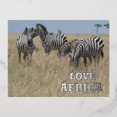 ゼブラズインザワイルドフォイルホリデーポストカード 箔シーズンポストカード (正面)