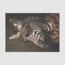 ゼブラデビガンザ14