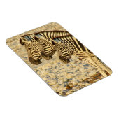 ゼブラトリオ マグネット (右側)