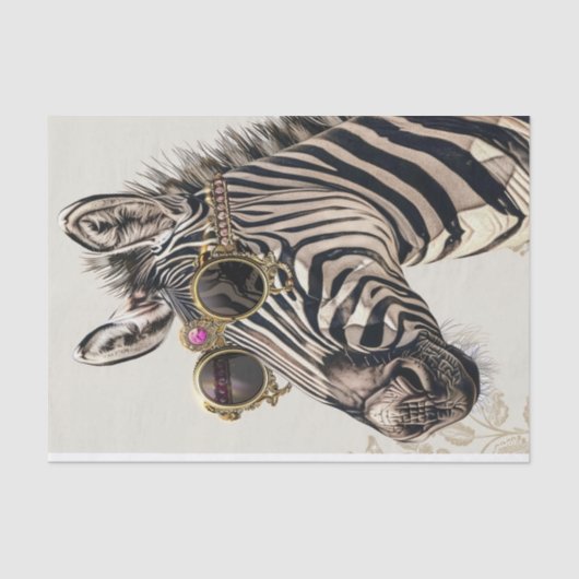 ゼブラバガランザ17 薄葉紙 (正面)