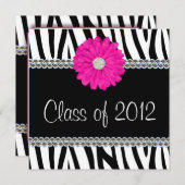 ゼブラピンクデイジー·ゲフェイクムズ卒業発表 招待状 (正面/裏面)