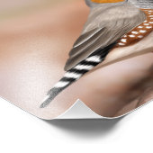 ゼブラフィンチバード自然ウォールアート フォトプリント            (角)