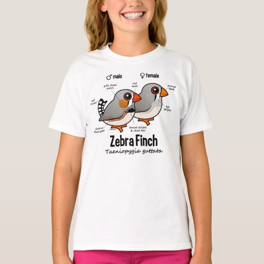 ゼブラフィンチ統計 Tシャツ (正面)