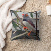 ゼブラフィンチ クッション (ブランケット)