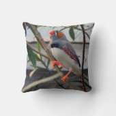 ゼブラフィンチ クッション (裏面)