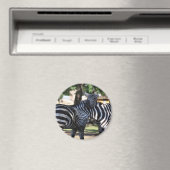 ゼブラフレンズマグネット マグネット (インサイチュ (食洗機))