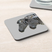 ゼブラヘッド コースター (左側)