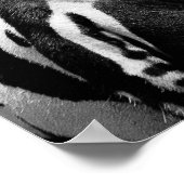 ゼブラポスター ポスター (角)