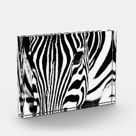 ゼブラポートレートモノクロ フォトブロック