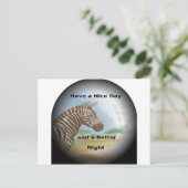 ゼブラポートレート、アンボセリ:サバンナの霊 ポストカード (スタンド正面)