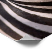 ゼブラポートレート ポスター (角)