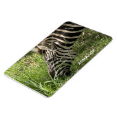 ゼブララブ…マグネット マグネット (左側)